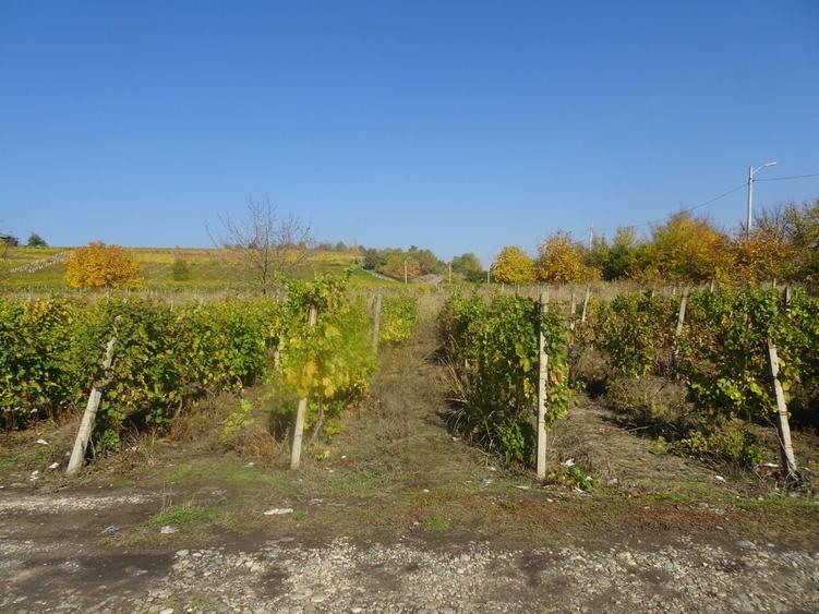 Teren de 2600 mp, în Drăgășani