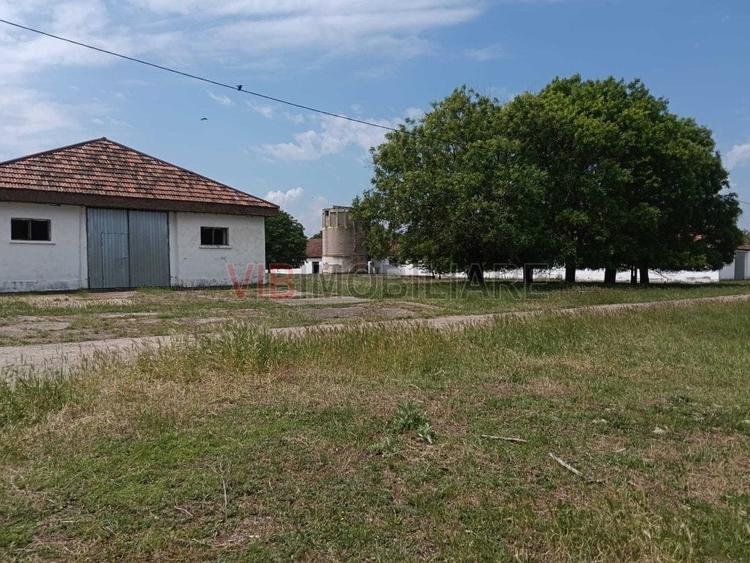 Ferma complet utilată – 30 ha teren comasat cu 11.500mp grajduri renovate Timiș - 15