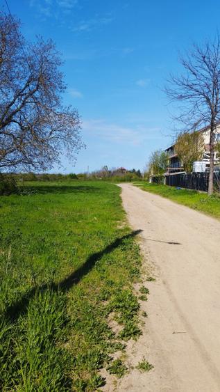 Teren Construcții intravilan de 10000 mp, în Grădiștea