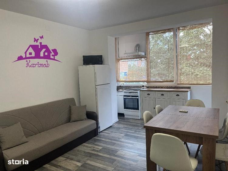 Apartament de inchiriat pe b-dul Dacia - 13
