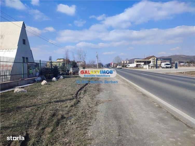 Teren de 9600 mp, în Aninoasa