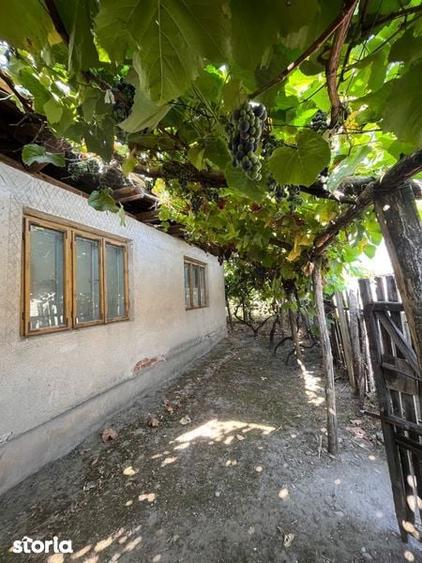 Casă cu 4 camere cu Teren 100 Mp în Rogova