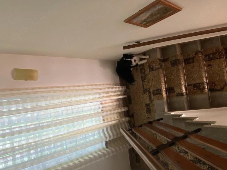 Casă cu Teren 500 Mp în Central