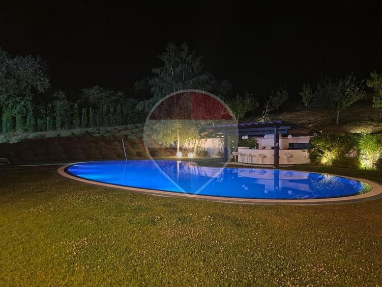 Casă individuală cu 10 camere cu Piscina în Făget