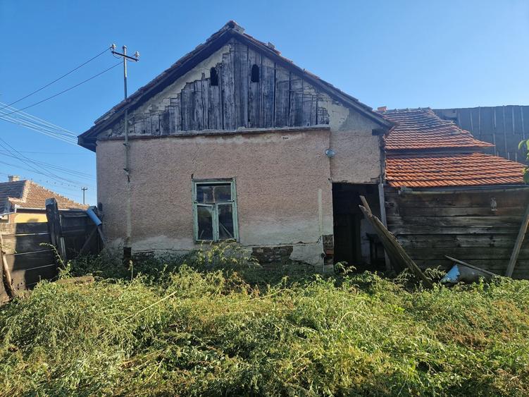 Casă cu 2 camere în Central