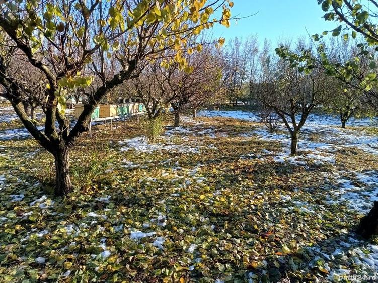 Teren de 4400 mp, în Ceacu