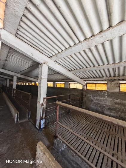Spațiu industrial, de 7,950 mp, în Orțișoara