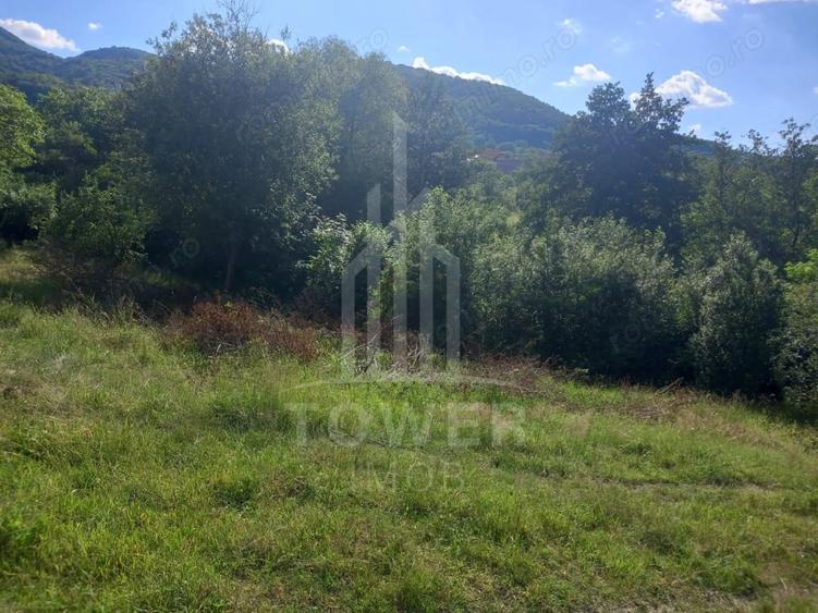 Teren de 3673 mp, în Fântânele