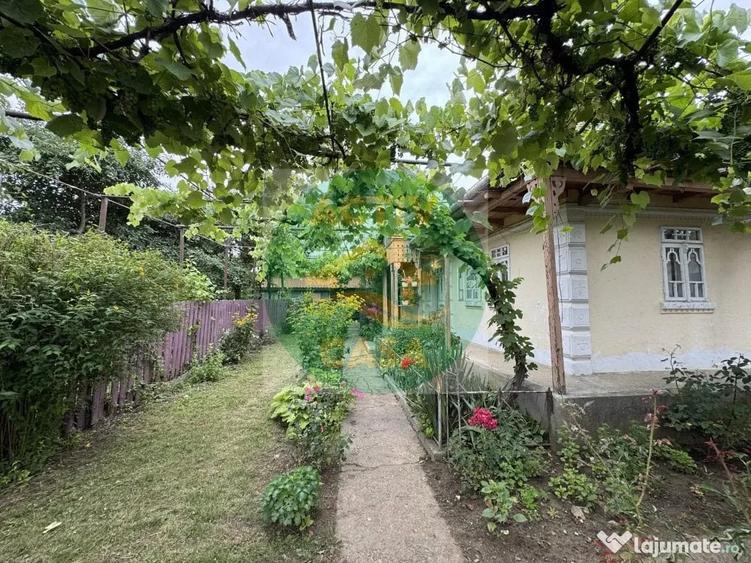 Casă cu 2 camere cu Teren 1000 Mp în Butea