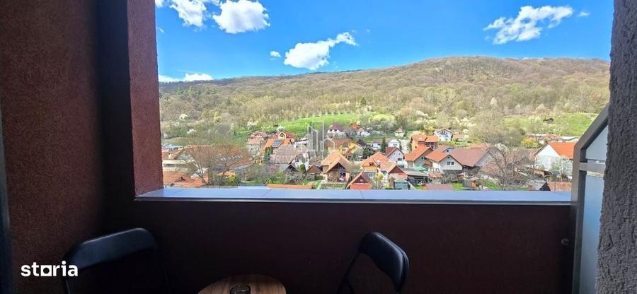 Apartament cu 2 camere în Viilor