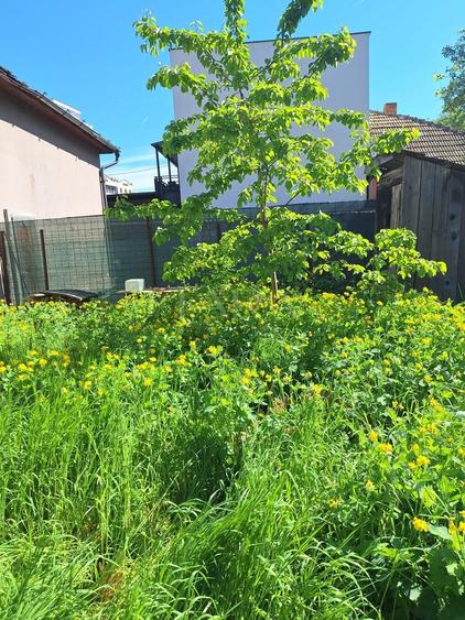 Casă individuală cu 2 camere cu Canalizare în Gheorgheni