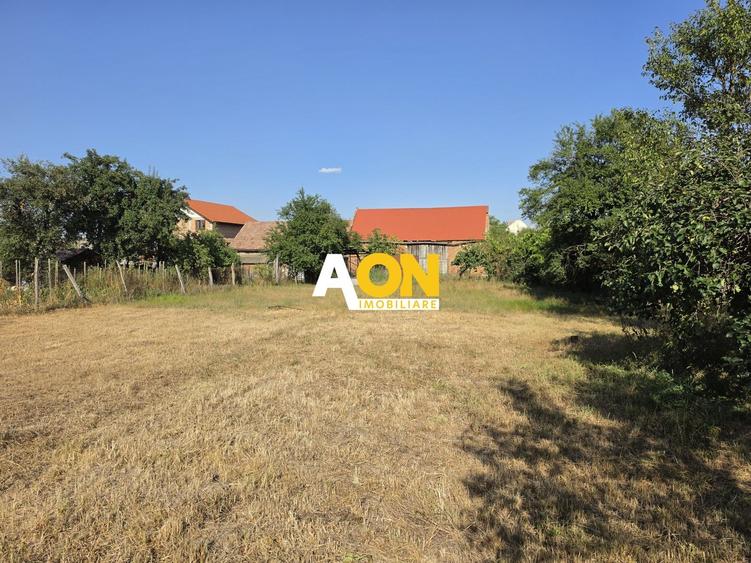 Casă individuală cu 4 camere cu Canalizare în Vințu de Jos