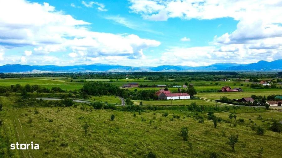 Lot intravilan de 854 mp situat in Harman, zona Podul Olt - 5