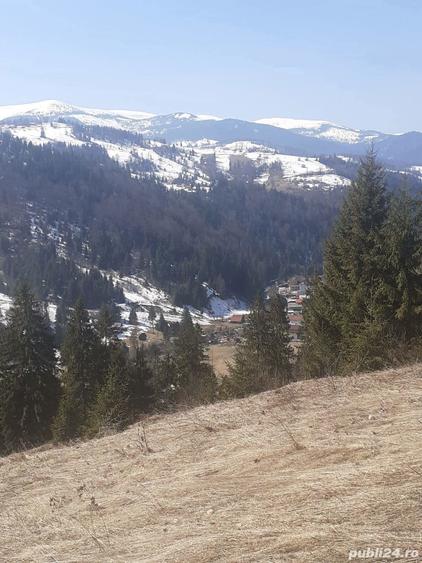 Teren de 3876 mp, în Gârda de Sus