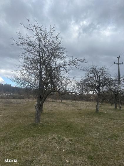 Teren de 4400 mp, în Voila