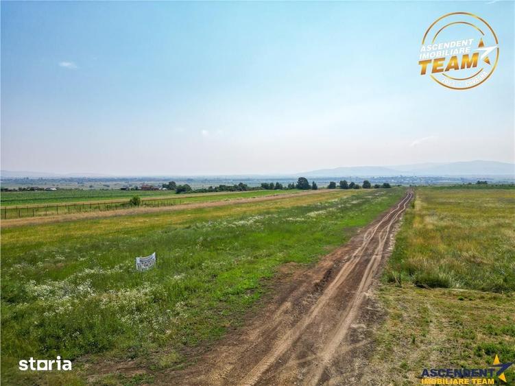 Teren de 573 mp, în Central