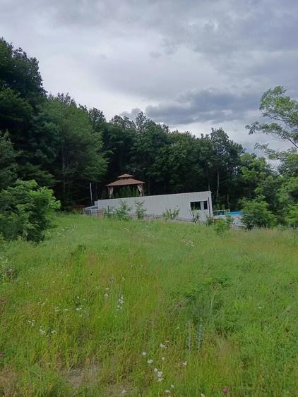 Teren de 14000 mp, în Goranu