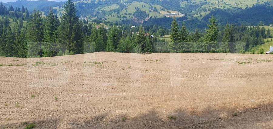 Teren Construcții extravilan de 18933 mp, în Vatra Dornei