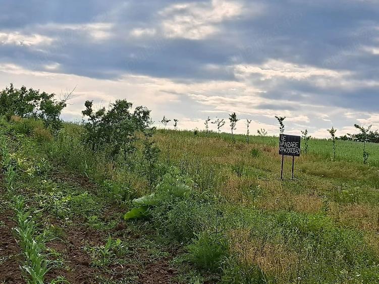 2900m2 teren intravilan in comuna Ion Creanga jud Neamt - 3