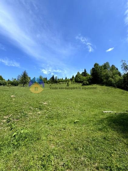 Teren intravilan de 11557 mp, în Ceahlău