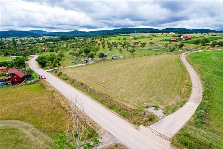 Teren Construcții extravilan de 3800 mp, în Valea Crișului
