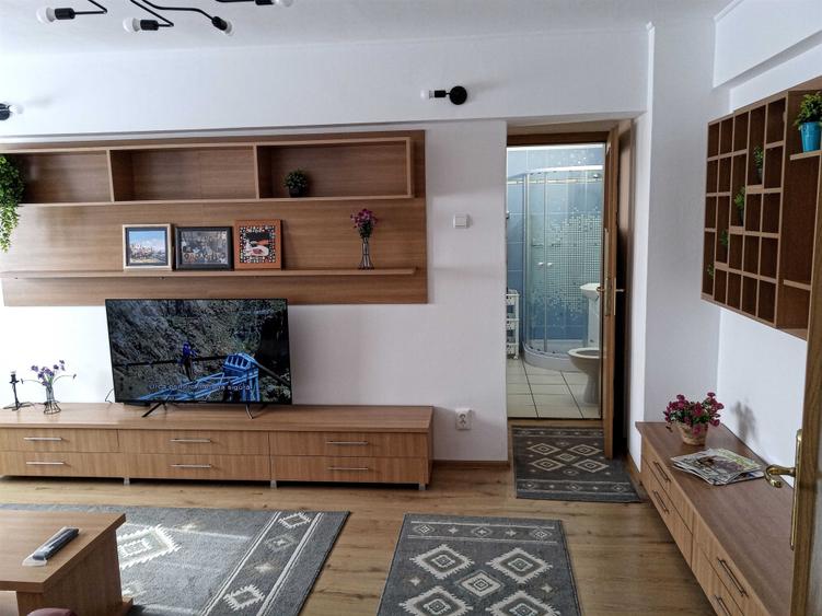 particular vazare 2 cam. ultracentral cismigiu kogalniceanu izvor - 5
