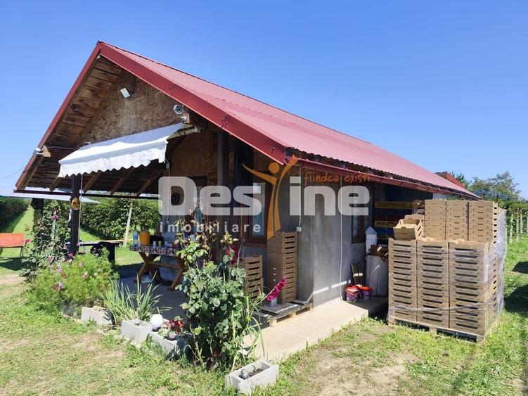 Proprietate specială, de 30 mp, în Nord