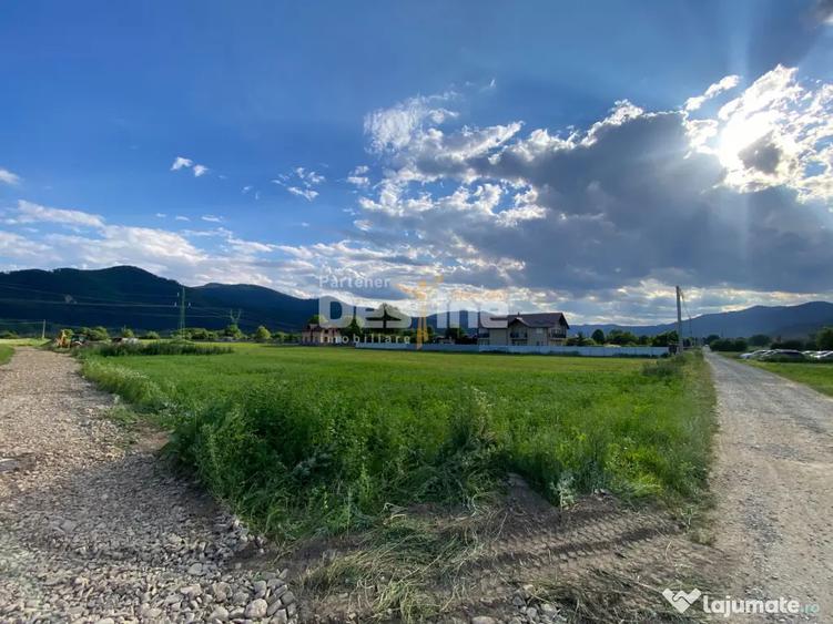 Teren de 735 mp, în Alexandru cel Bun