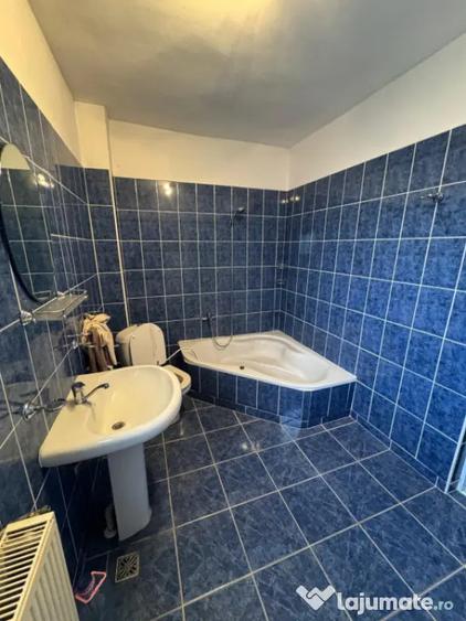 Casă cu 3 camere cu Teren 3300 Mp în Coltău