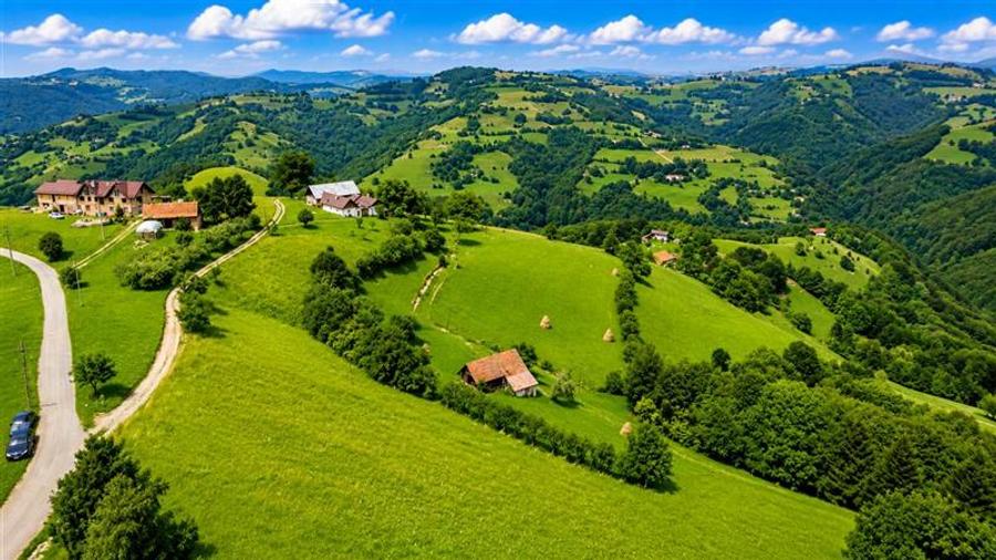 Teren Construcții intravilan de 10335 mp, în Poiana Mărului