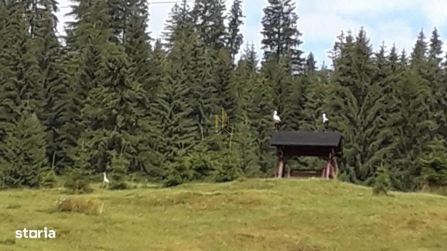 Spațiu comercial, în Valea Putnei