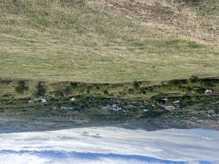 Teren de 1000 mp, în Bucium