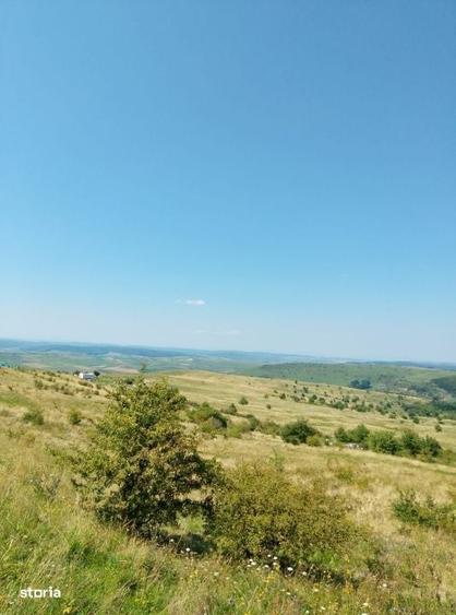 Spațiu comercial, în Chinteni