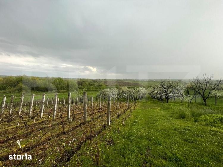 Teren de 4447 mp, în Pielești