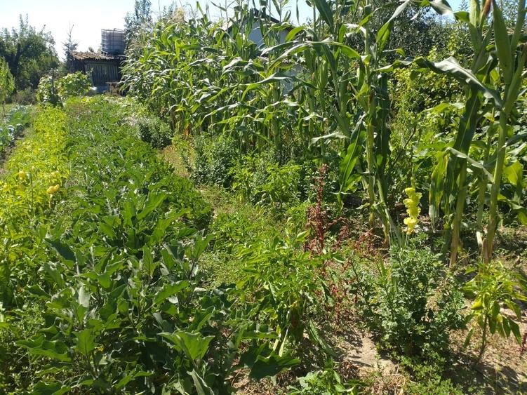 Casă individuală cu 2 camere cu Canalizare în Corbii Mari