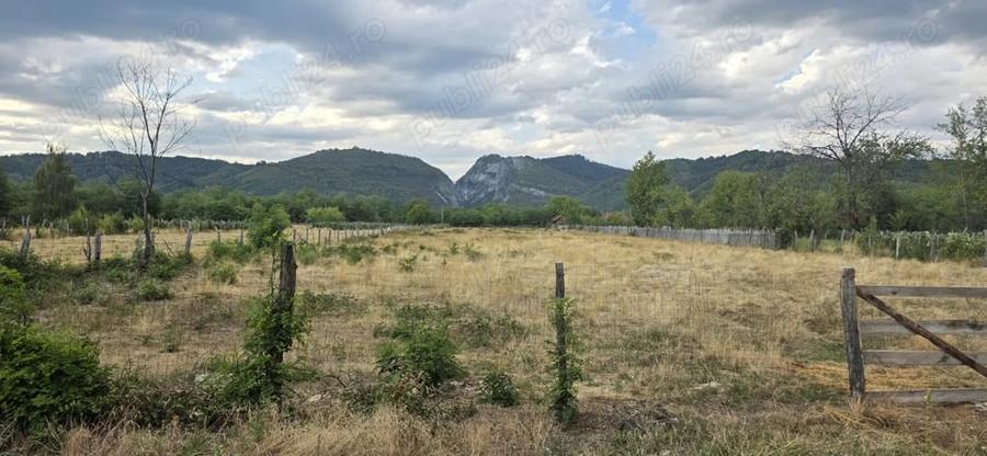 Teren de 8510 mp, în Polovragi