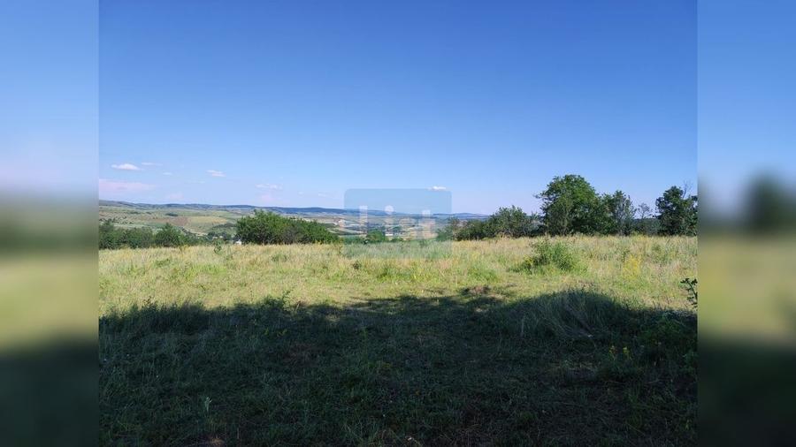 Teren Construcții intravilan de 72000 mp, în Topa Mică