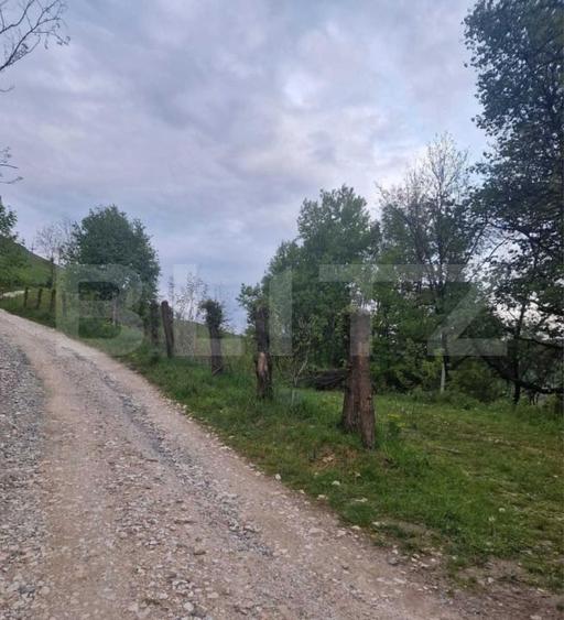 Teren Construcții intravilan de 1585 mp, în Câmpeni