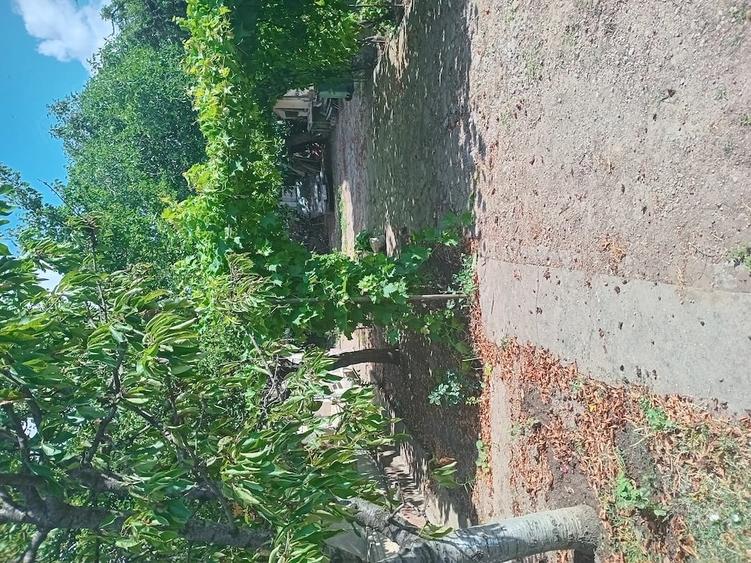 Casă cu Teren 883 Mp în Amara