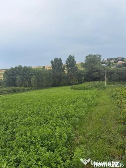 Casă cu 2 camere cu Teren 2100 Mp în Bălcăuți
