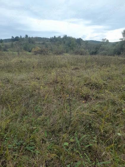 Teren de 1720 mp, în Lupești