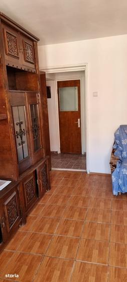 Teiul Doamnei, Parc Tei & Plumbuita, renovat, reabilitat, debara, 1% - 9
