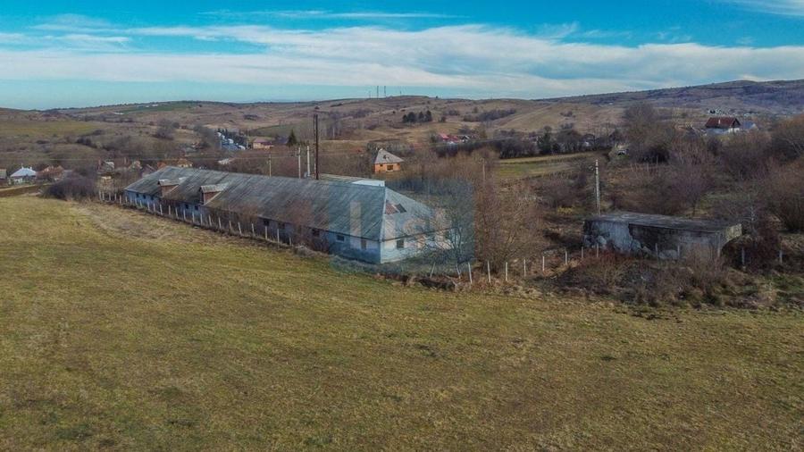 Teren Construcții intravilan de 7400 mp, în Păniceni