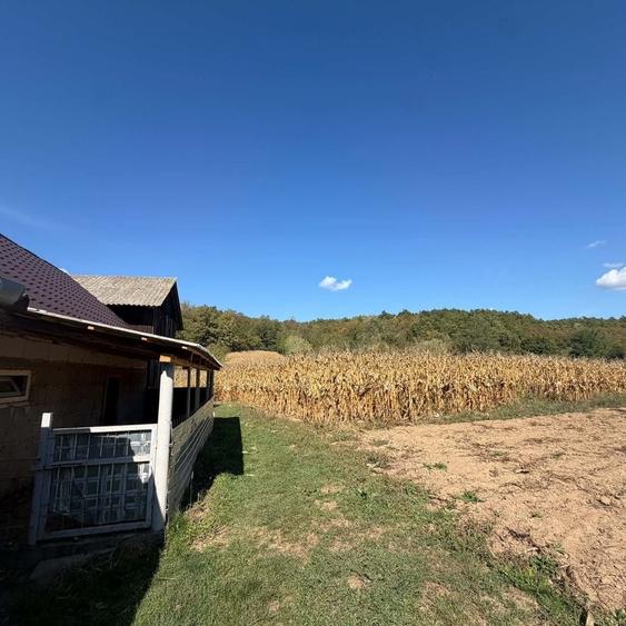 Casă cu 4 camere în Bârzava