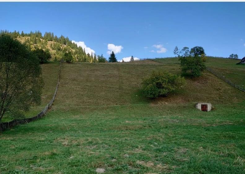 Teren Construcții intravilan de 1724 mp, în Ortoaia