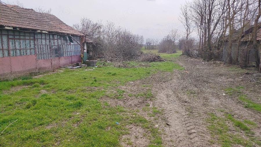 Teren de 3000 mp, în Fierbinți-Târg