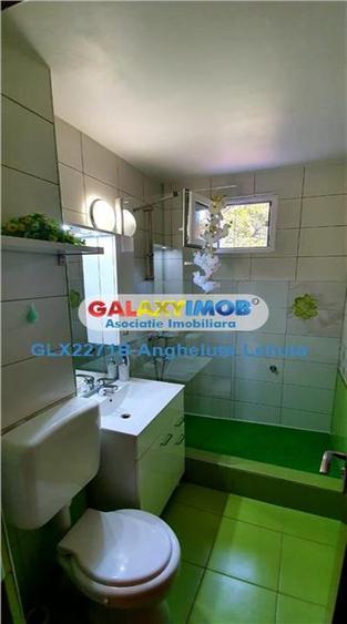 Drumul Taberei Raul Doamnei apartament 2 camere de inchiriat - 11