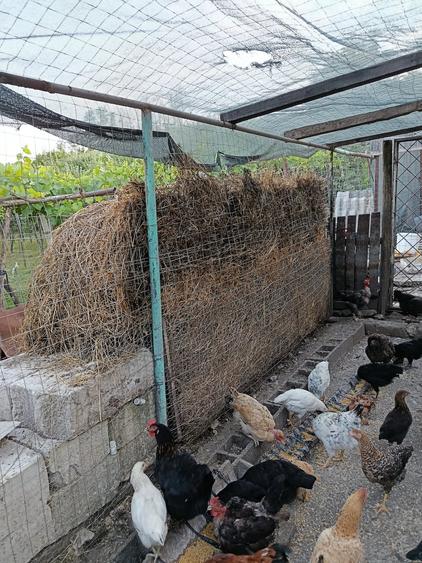 Casă cu 2 camere cu Teren 5862 Mp în Esechioi
