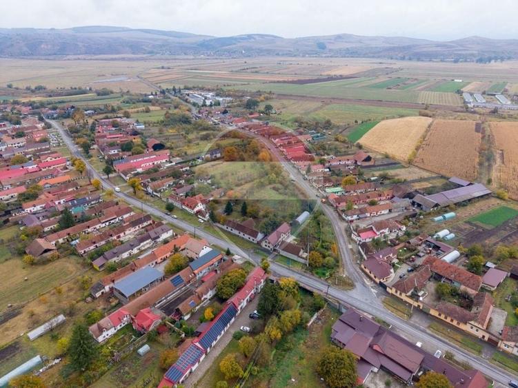 Teren Construcții intravilan de 3660 mp, în Bod