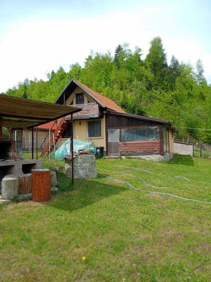 Casă cu 3 camere în Lepșa
